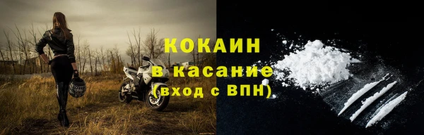 шишки Няндома