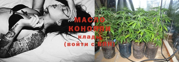 шишки Няндома