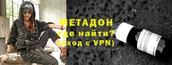 шишки Няндома