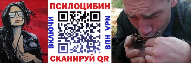 магазин    Иланский  Галлюциногенные грибы Psilocybine cubensis 