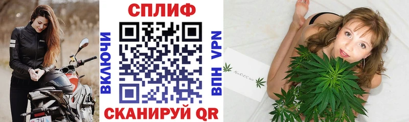 Канабис OG Kush  купить наркоту  Иланский 